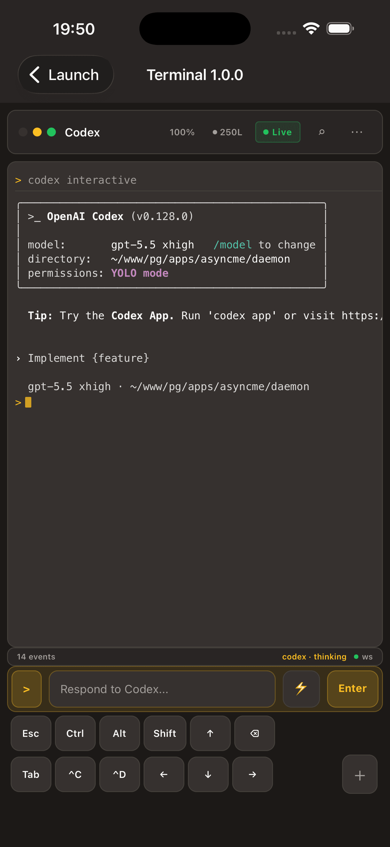 OpenAI Codex YOLO mode session running through AsyncMe.